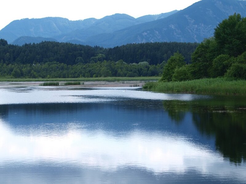 Jezero uprostřed lesa s pohořím v pozadí